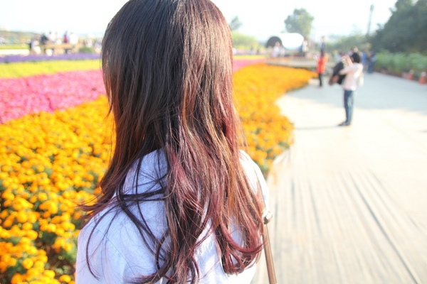 Image hair 概念美髮沙龍(勤美店)：【台中勤美】Image hair 概念美髮沙龍－陽光下超美的紫色＋咖啡色